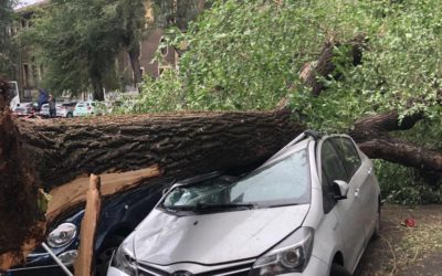 Maltempo a Roma, U.Di.Con.: “La Capitale nel caos già dalle prime ore del giorno”