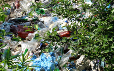 Vallerano contro la discarica