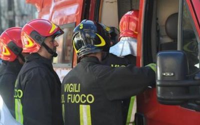Crollo albero a Roma, U.Di.Con.: “L’ennesima tragedia sfiorata”