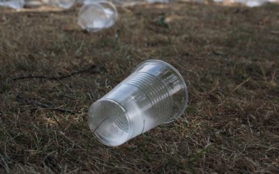 Scuole plastic-free nel Lazio, U.Di.Con.: “Bene così, ma non dimenticare gli altri problemi”