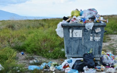 Inchiesta delle Iene su Ama, U.Di.Con.: “Urge chiarire le responsabilità”