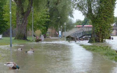 Maltempo a Roma, U.Di.Con.: “Virginia, fai qualcosa per i tuoi concittadini”