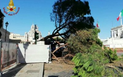 Crolla albero a Roma in Piazza Venezia, U.Di.Con.: “Da Raggi solo spot elettorali”
