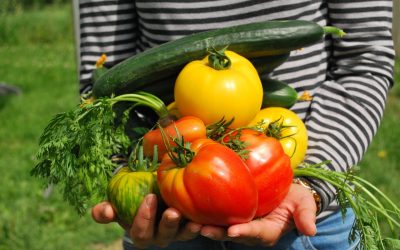 Il consumo critico e consapevole nel settore alimentare