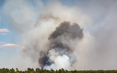 Incendio tmb Malagrotta, U.Di.Con.: “Disastro ambientale, si faccia chiarezza”