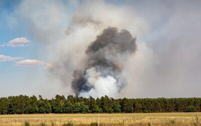 Roma in fiamme, Udicon Lazio: “Serve un piano straordinario per la prevenzione. I cittadini sono stanchi di respirare emergenze”